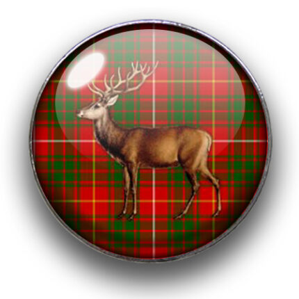 Schieber (silberfarben, Ø22mm), Deers, Dome, 22mm, glatt, Fiery Green