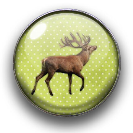 Schieber (silberfarben, Ø22mm), Deers, Dome, 22mm, glatt, Kiwi
